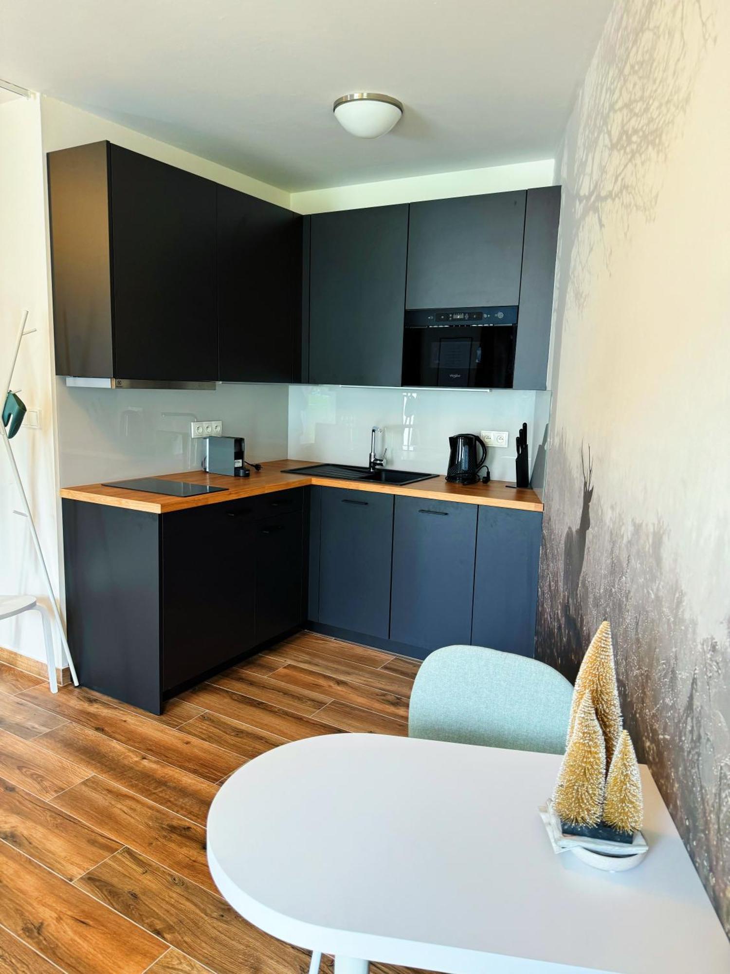 Horsky Apartman Klinovecke Louky 120-4 โลชนา โปด กลิโนฟเซม ภายนอก รูปภาพ